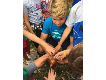 Summer Camps in the Farm 2024