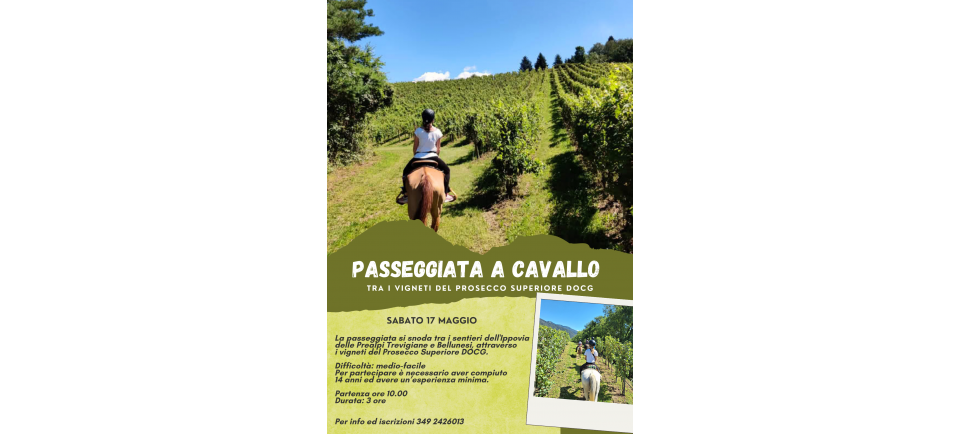 Passeggiata a cavallo